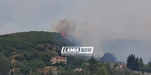 Φωτια στο βουνό 