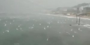 Χαλάζι χτυπά την θάλασσα σε παραλία της Ιταλίας