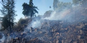 Πυρκαγιά στα Χανιά