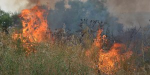 Πυρκαγιές Ευβοια