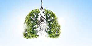 Πνεύμονας φτιαγμένος από πράσινα δέντρα