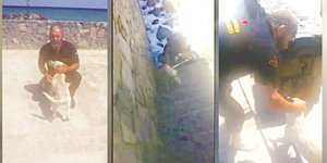 Σκύλος βρέθηκε στη θάλασσα στο Ηράκλειο Κρήτης