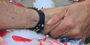 Τζένιφερ Ανιστον Τζάστιν Θιρού, αποχαιρετούν το σκύλο τους