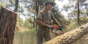 κοβουν δεντρα