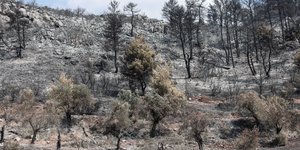 Καμμένα