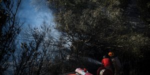 Πυρκαγιά σε δασική έκταση