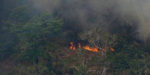 Πυρκαγιές καίνε τους πνεύμονες του πλανήτη, τον Αμαζόνιο