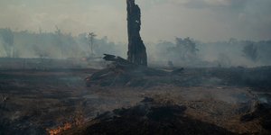 Οι πυρκαγιές κατακαίουν το δάσος του Αμαζονίου