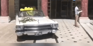 Η Κάντιλακ των ενόνυμφων στο τουρκικό προξενείο έκλεψε την παράσταση