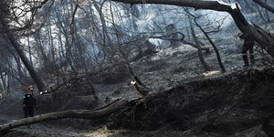 Πυροσβέστες κοιτάζουν την καταστροφή που προκάλεσε η φωτιά στην Εύβοια