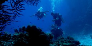 Δύτες με μπουκάλες οξυγόνου στο βυθό της θάλασσας