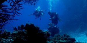 Δύτες με μπουκάλες οξυγόνου στο βυθό της θάλασσας / Φωτογραφία αρχείου: Shutterstock