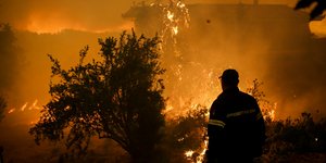 Φωτιά στην Εύβοια