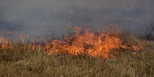 Πυρκαγιά και στα Καλάβρυτα