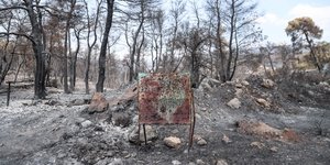 Τα καμμένα στην Εύβοια