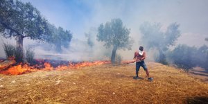 Φωτιές στην Καλαμάτα