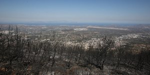 Εικόνα από το καμένο δάσος στην Εύβοια