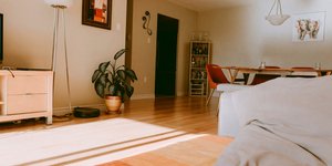 Ενα μίνιμαλ σαλόνι τακτοποιημένο με φυτό και τραπεζαρία