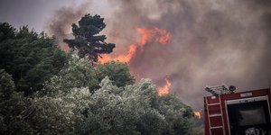 Πυρκαγιά σε δασική περιοχή