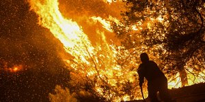 Πυρκαγιά στην Εύβοια