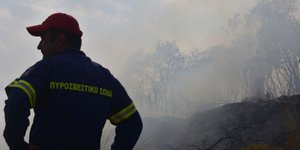 Η πυροσβεστική έθεσε υπό μερικό έλεγχο τις φωτιές στη Μεσσηνία