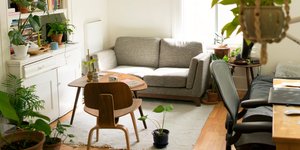 Σαλόνι διαμερίσματος με γκρι καναπέ, ξύλινες καρέκλες, βιβλιοθήκη και φυτά 