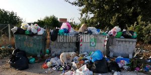 Ξεχειλίζουν οι κάδοι με τα σκουπίδια