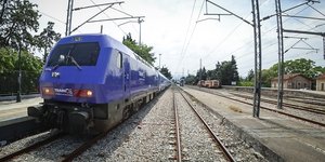 Βουβάλια έπεσαν σε τρένο που κινούνταν προς Αλεξανδρούπολη