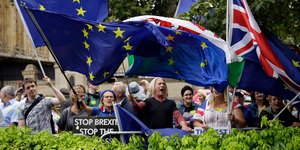 Βρετανοί διαδηλωτές