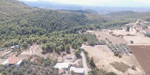 Εικόνα από ψηλά από το χωριό Μακρυμάλλη πριν ξεσπάσει η φωτιά στην Εύβοια