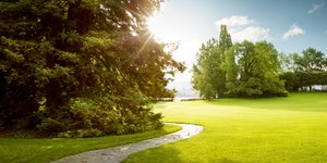 δασος διαδρομος ήλιος 