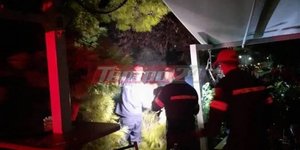 Πυροσβέστες κόβουν δέντρο που έπεσε σε καφετέρια