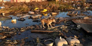 Μεγάλες καταστροφές στις Μπαχάμες από το «πέρασμα» του τυφώνα Dorian στις Μπαχάμες