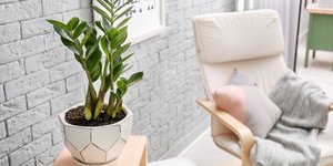 Γλάστρα με φυτό εσωτερικού χώρου σε καθιστικό, πολυθρόνα και wall art