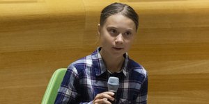 Η Γκρέτα Τούνμπεργκ με καρό πουκάμισο