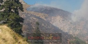 Φωτιά στην Καρδίτσα