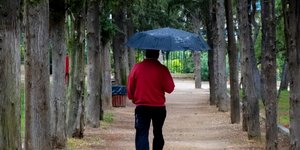 Με ομπρέλα ανάμεσα σε δέντρα