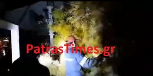 Το δέντρο που έπεσε στα Ψηλά Αλώνια της Πάτρας