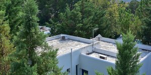 αυθαίρετα στο δάσος