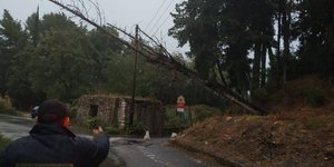 Δέντρο έπεσε στα καλώδια της ΔΕΗ μετά την κακοκαιρία στην Κέρκυρα