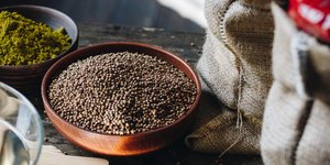 Κόλιανδρος σε μπολ