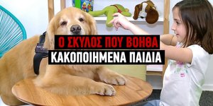Ο σκύλος θεραπευτής που βοηθά κακοποιημένα παιδιά