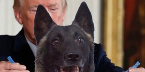 O Τραμπ προχώρησε σε νέο απίστευτο tweet!