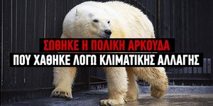 Η νέα ζωή της Μάρφα