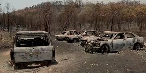 Αυτοκίνητα και δέντρα καμμένα 