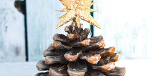 Κουκουνάρια δεντράκι κανέλες