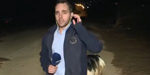 Γουρούνι κυνηγά ρεπόρτερ του ANT1