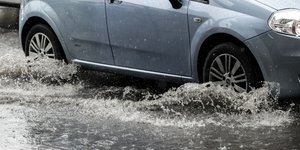 ροδες στο νερό 