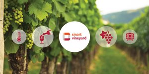 smart vineyard Watt+Volt