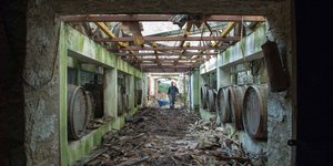 Oινοποιείο Τατόι